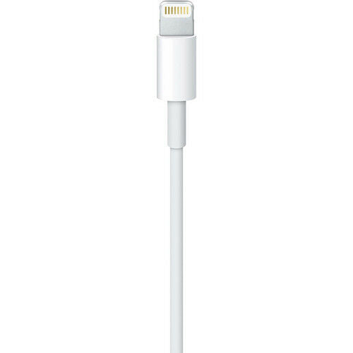 Apple Lightning to USB Cable 0.5 m