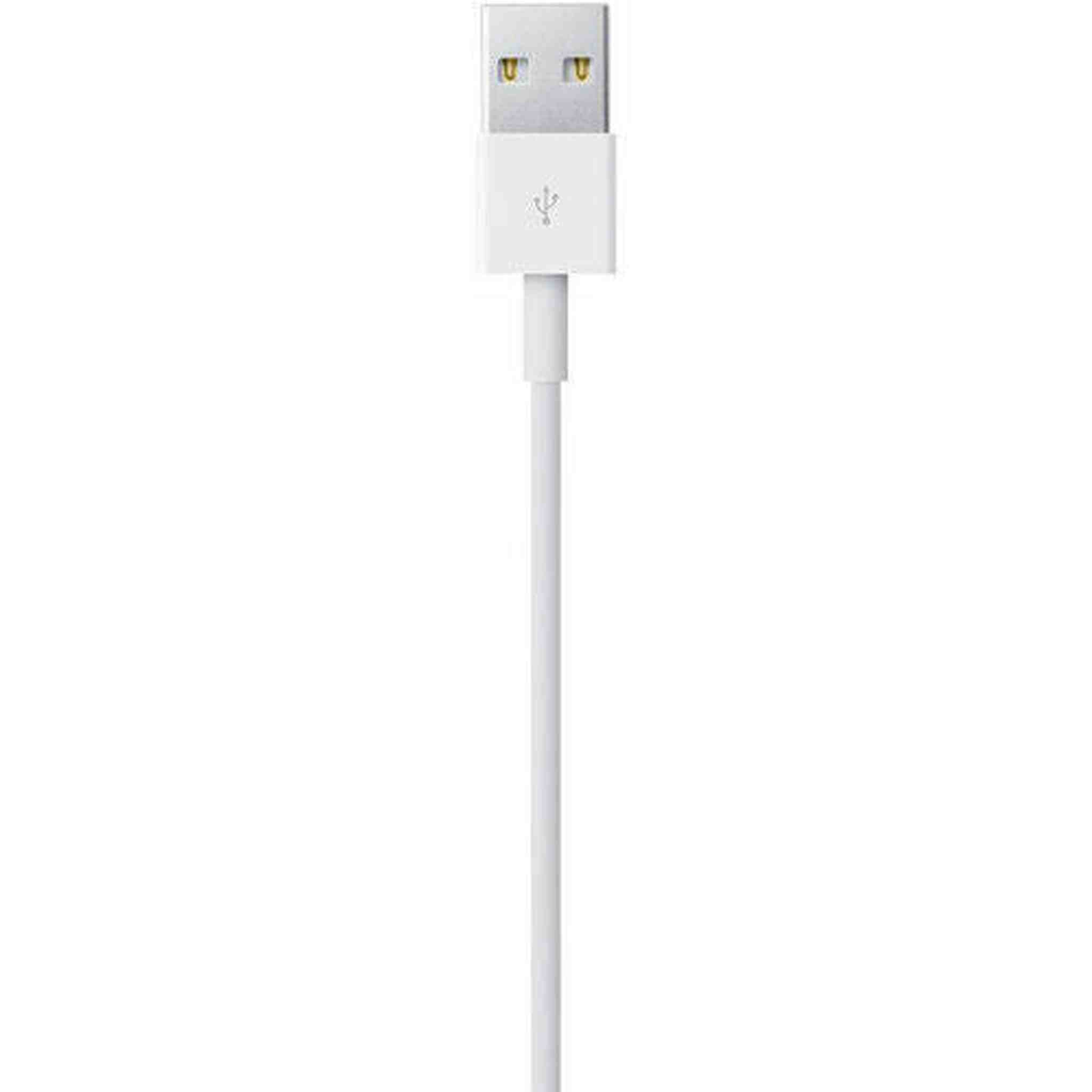 Apple Lightning to USB Cable 0.5 m Apple