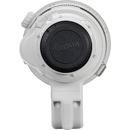 Canon EF 200-400mm f/4L IS USM Extender 1.4x Lens International Model