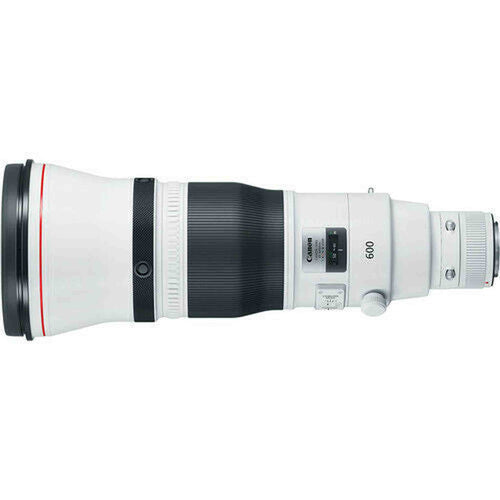 Canon EF 600mm f/4L IS III USM Lens