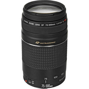 Canon EF 75-300mm f/4-5.6 III USM Lens Canon