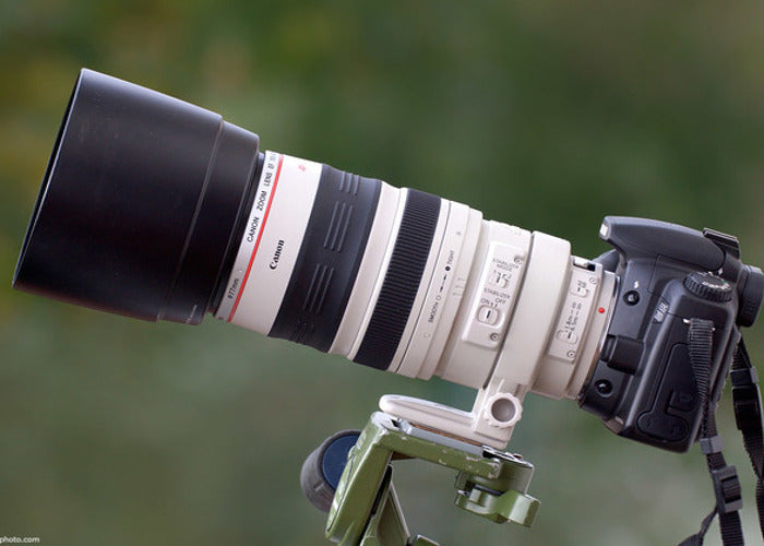Canon EF 100-400mm F/10-5.6L IS Lens Intl Model + 10 inch Vivitar Premium Lens Case + Vivitar Graduated Color Filter Kit
