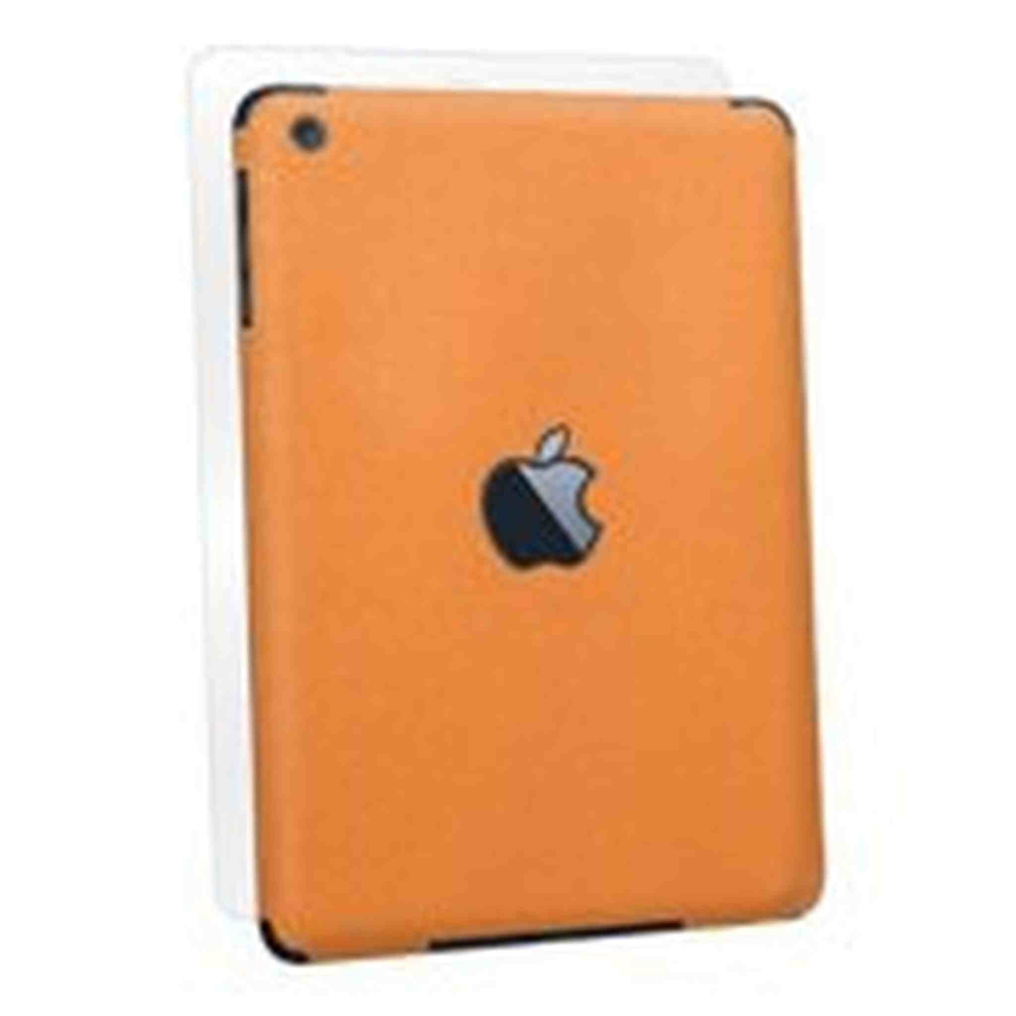 BodyGuardz Armor Rindz Full Body Stylish Protection Film for Apple iPad mini - Tangerine Slice BZ-AROIM-0912 BodyGuardz