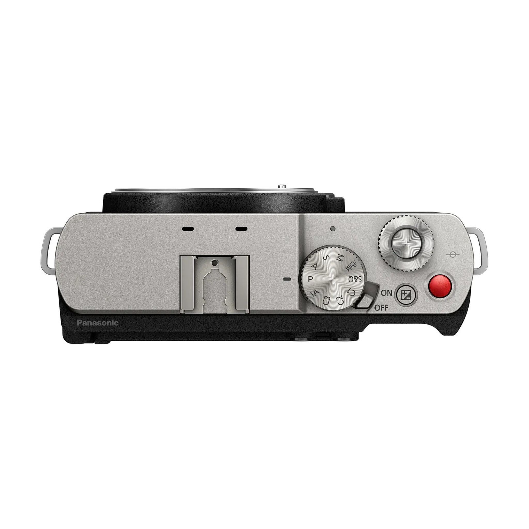 Panasonic Lumix S9 Mirrorless Camera with 18-40mm f/4.5-6.3 Lens Silver + More Panasonic