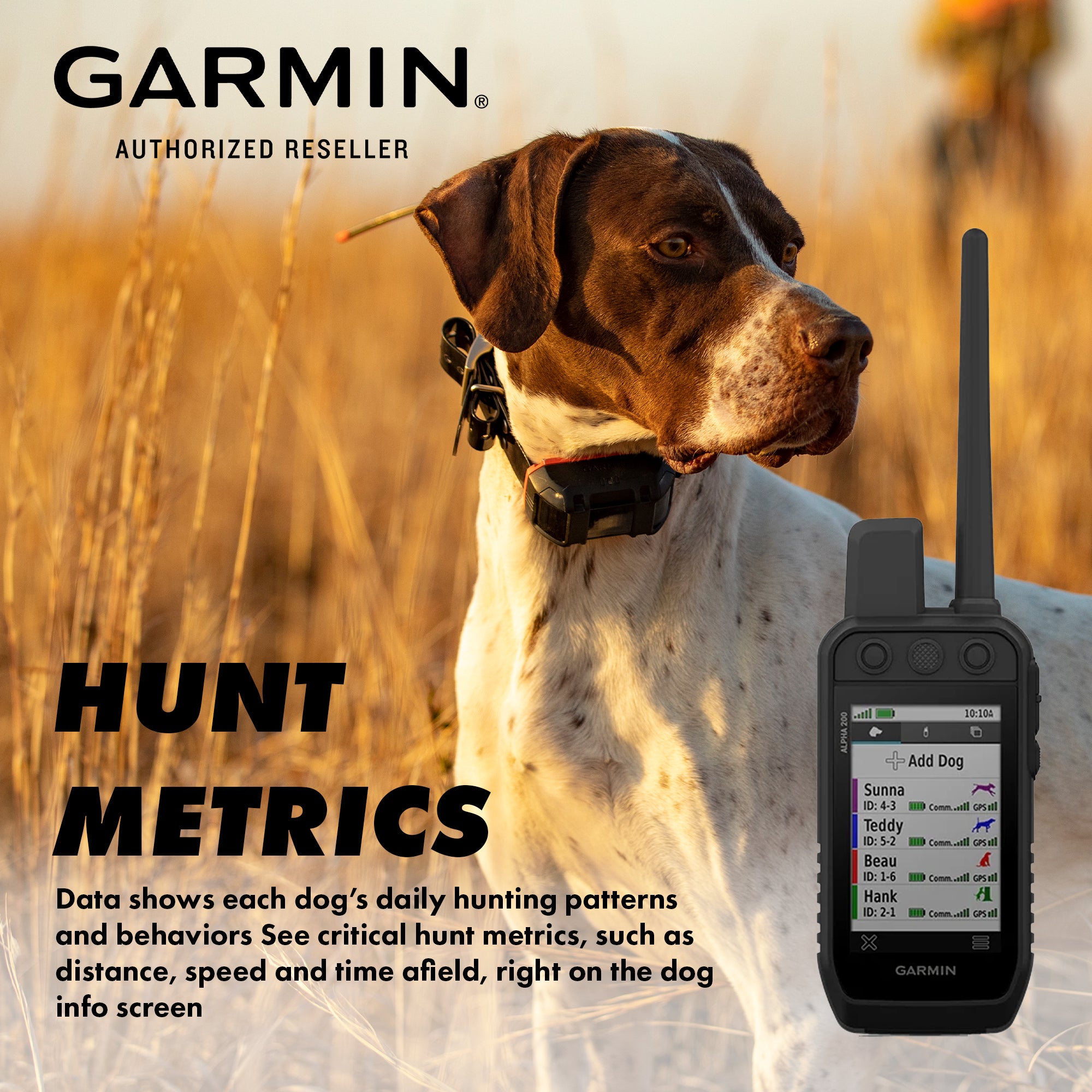 Garmin Alpha® 200 Plus, Rugged GPS Handheld, Track and Train Up to 20 Dogs, Sunlight Readable 3.5-inch Color Touchscreen Display