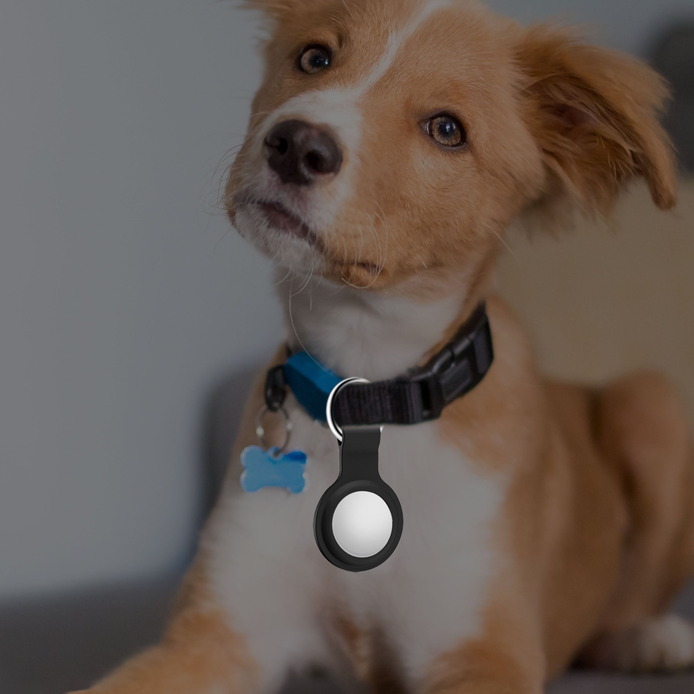 Apple AirTag 5 PC starter kit 4 Silicone Case keychain, 1 Luggage Tag Black