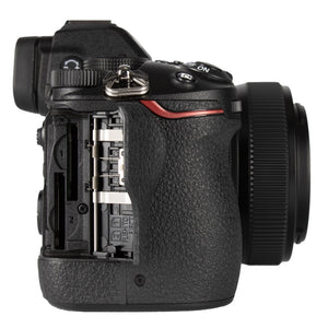 Nikon Z 5 w/NIKKOR Z 24-50mm f/4-6.3