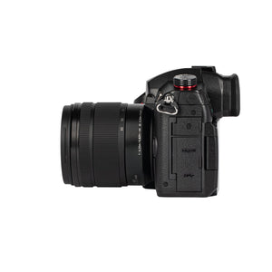 Panasonic DC-GH5M2 LUMIX 5G/4K/Live Support/USB Charging Digital Camera Japan Version 12-60mm Lens kit