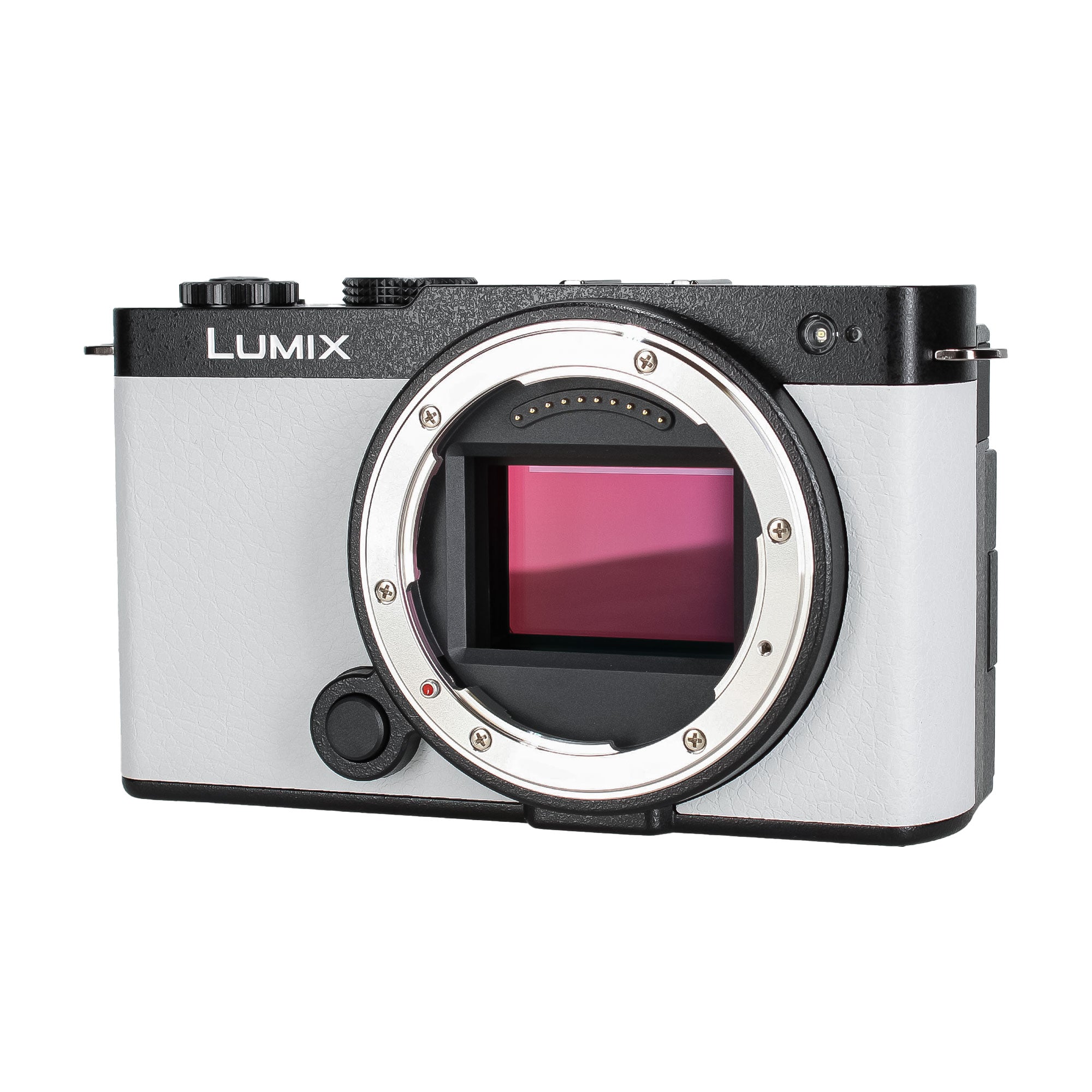 Panasonic LUMIX S9 Mirrorless Camera, 24.2MP Full Frame with Phase Hybrid AF, New Active I.S. Technology - DC-S9BODYW White