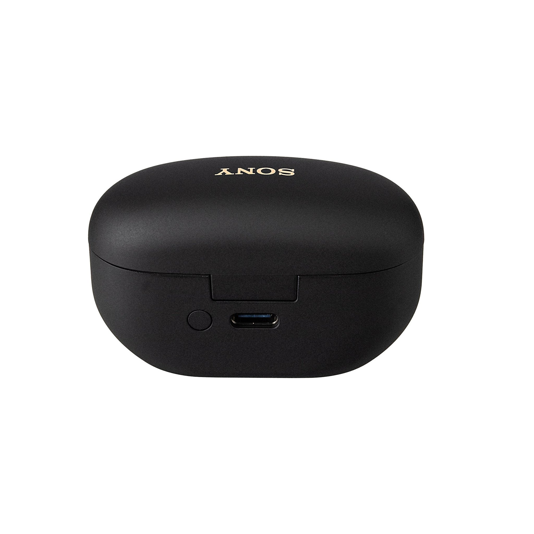 Sony WF-1000XM5 Noise-Canceling True Wireless In-Ear Headphones Black