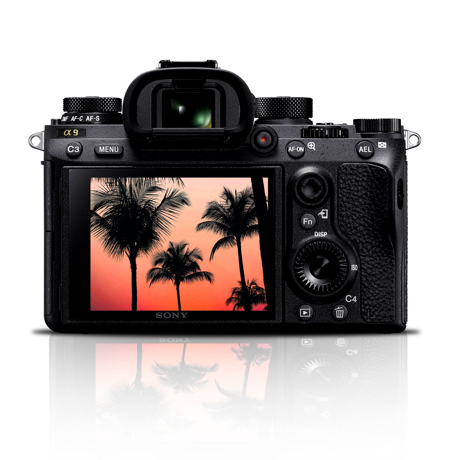 Sony Alpha a9 Mirrorless Digital Camera (Body Only)