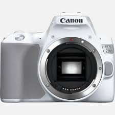 Canon EOS 250D body only International Version (White)