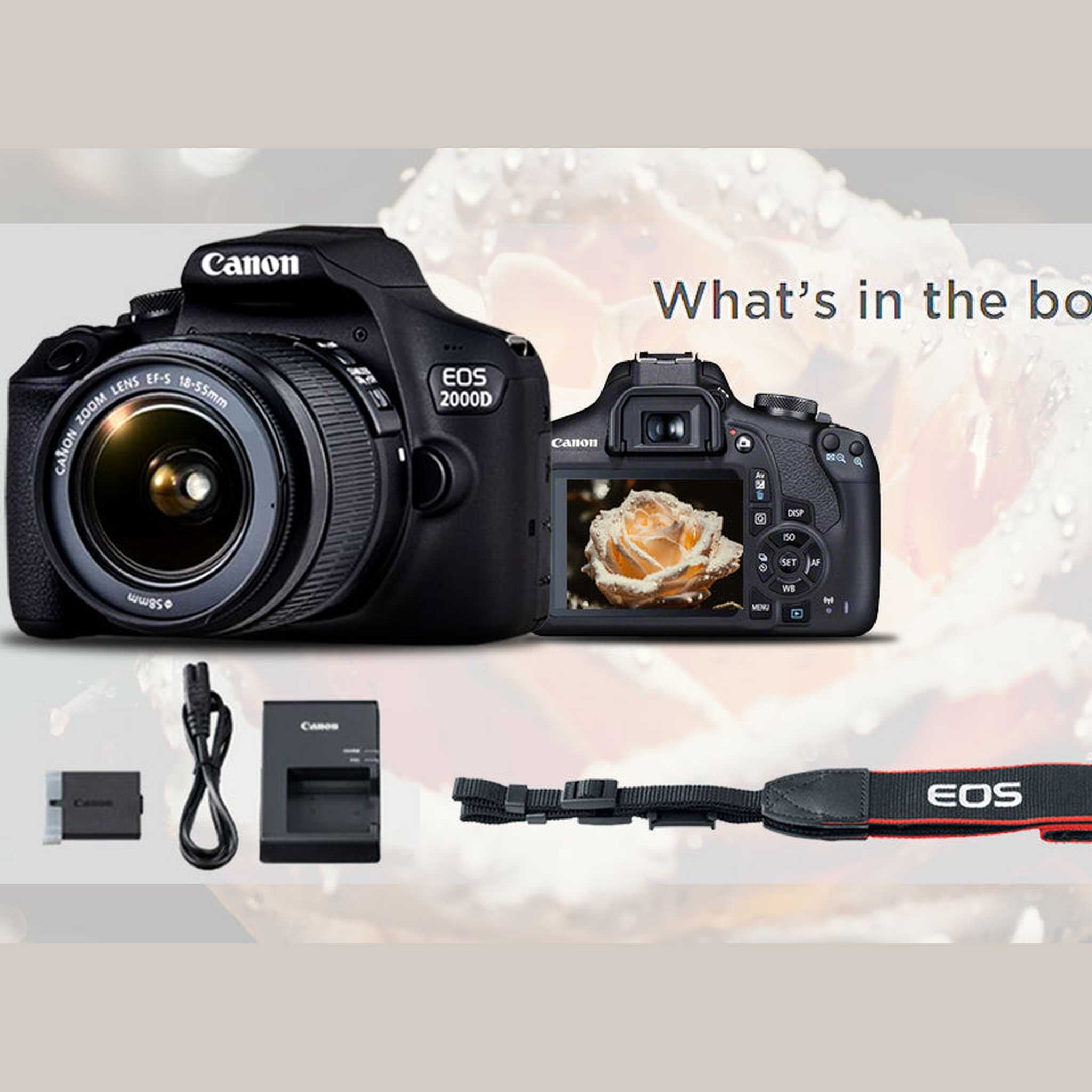 Canon EOS 2000D / Rebel T7 DSLR Camera + 18-55mm Lens, 58mm Filters Pro Bundle Canon